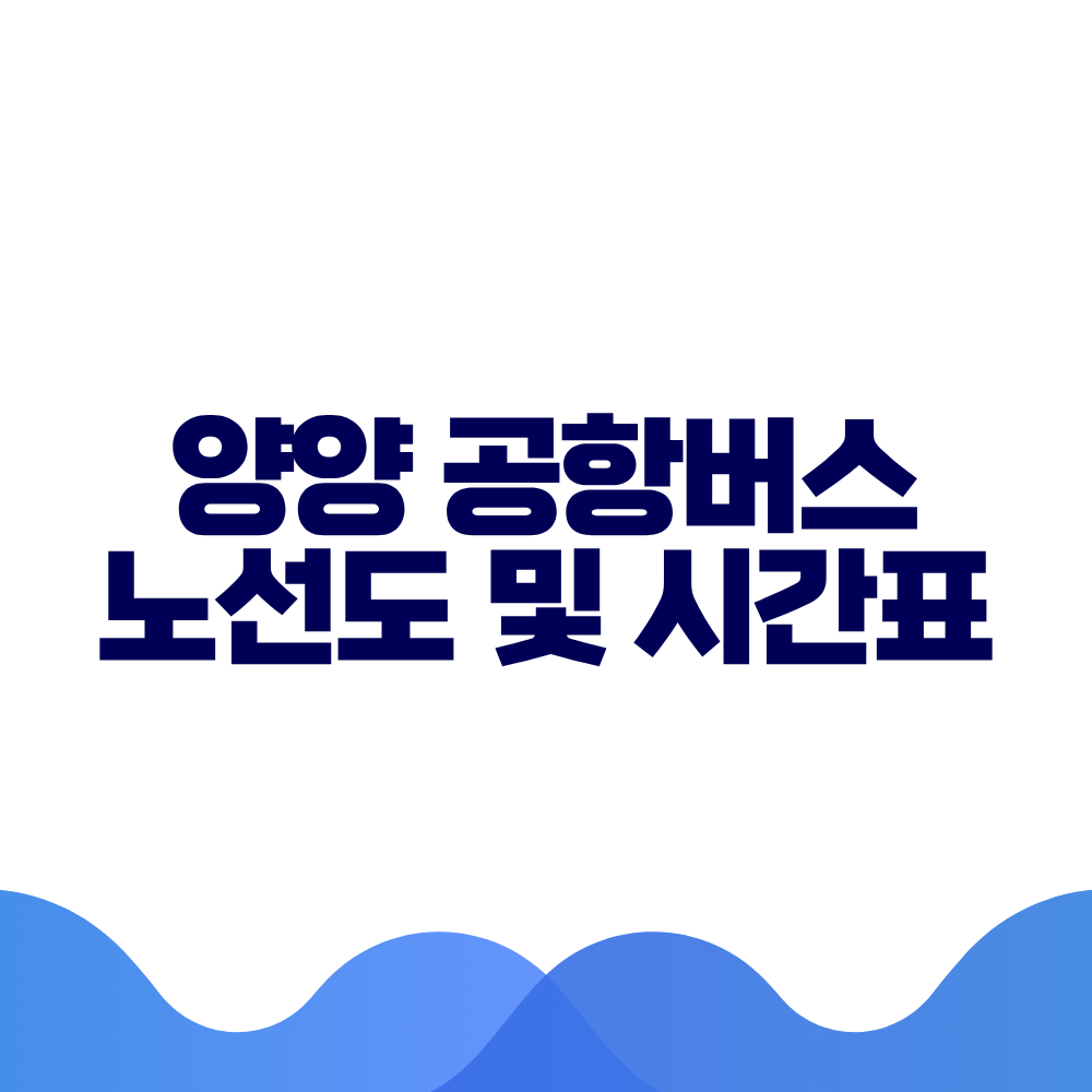 양양 셔틀노선 공항버스 시간표 예매방법 가격 노선도 총정리