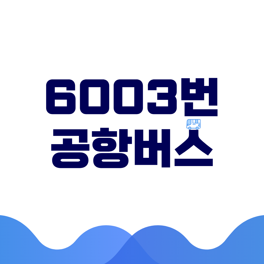 6003번 공항버스