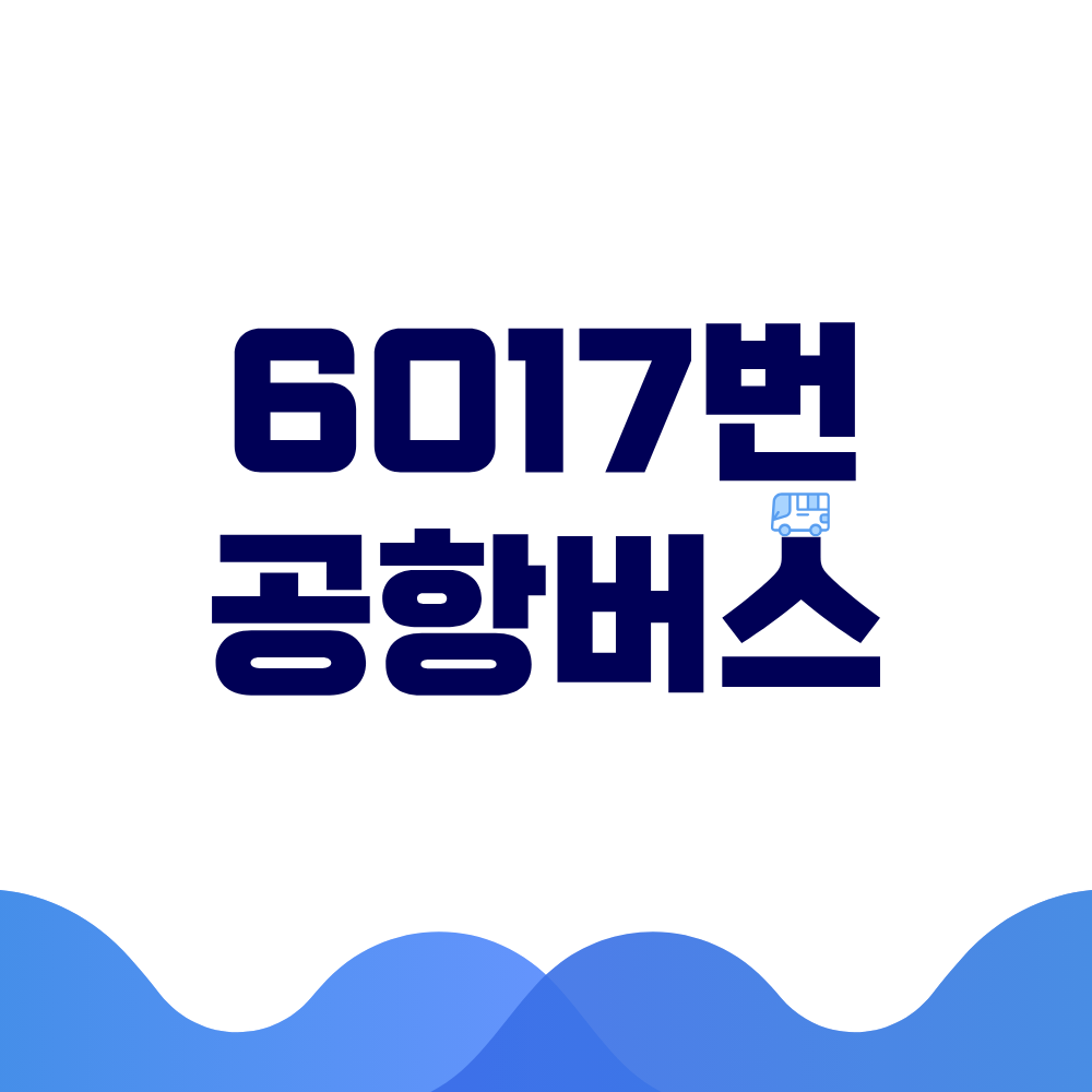 6017번 공항버스